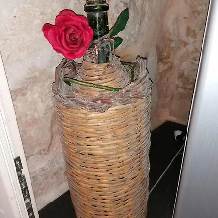 Casina Olympya * 시클리