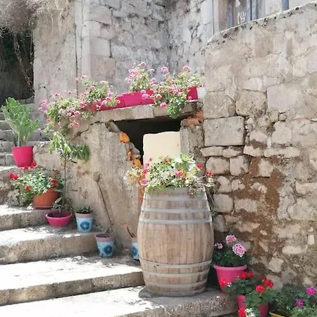 Casina Olympya Holiday home *